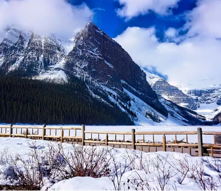 How Canada landed 405,000 new immigrants in 2021