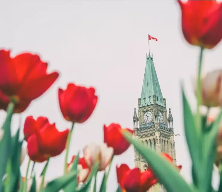 Express Entry: Canada invites 829 PNP candidates after announcing all-program draws will resume in July