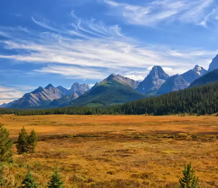 The benefits of immigrating to Canada