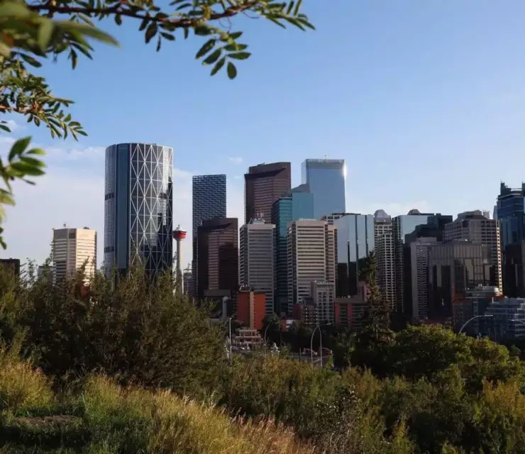Alberta lifts restrictions on temporary foreign workers
