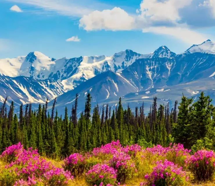 How to get permanent residence with the Canadian Experience Class