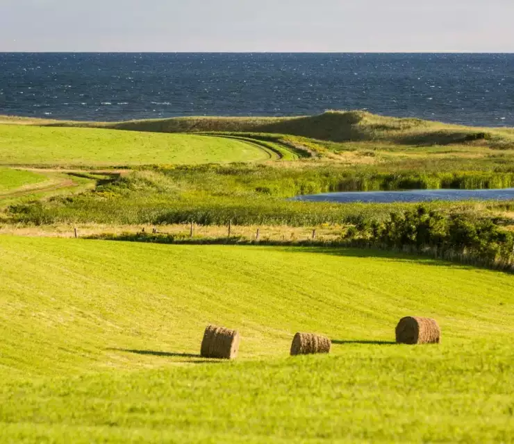 PEI releases details of June immigration draw