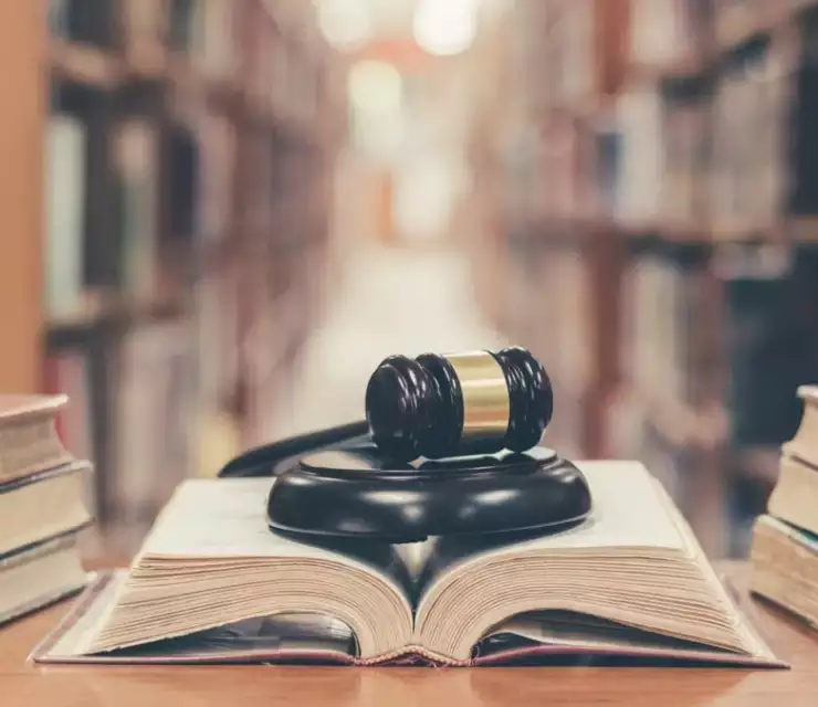 Canadian Supreme Court updates process for making a reasonable decision on immigration applications
